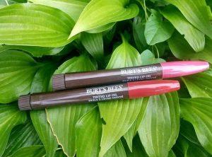 Burt’s-Bees-tinted-lip-oil Burt’s Bees tinted lip oil